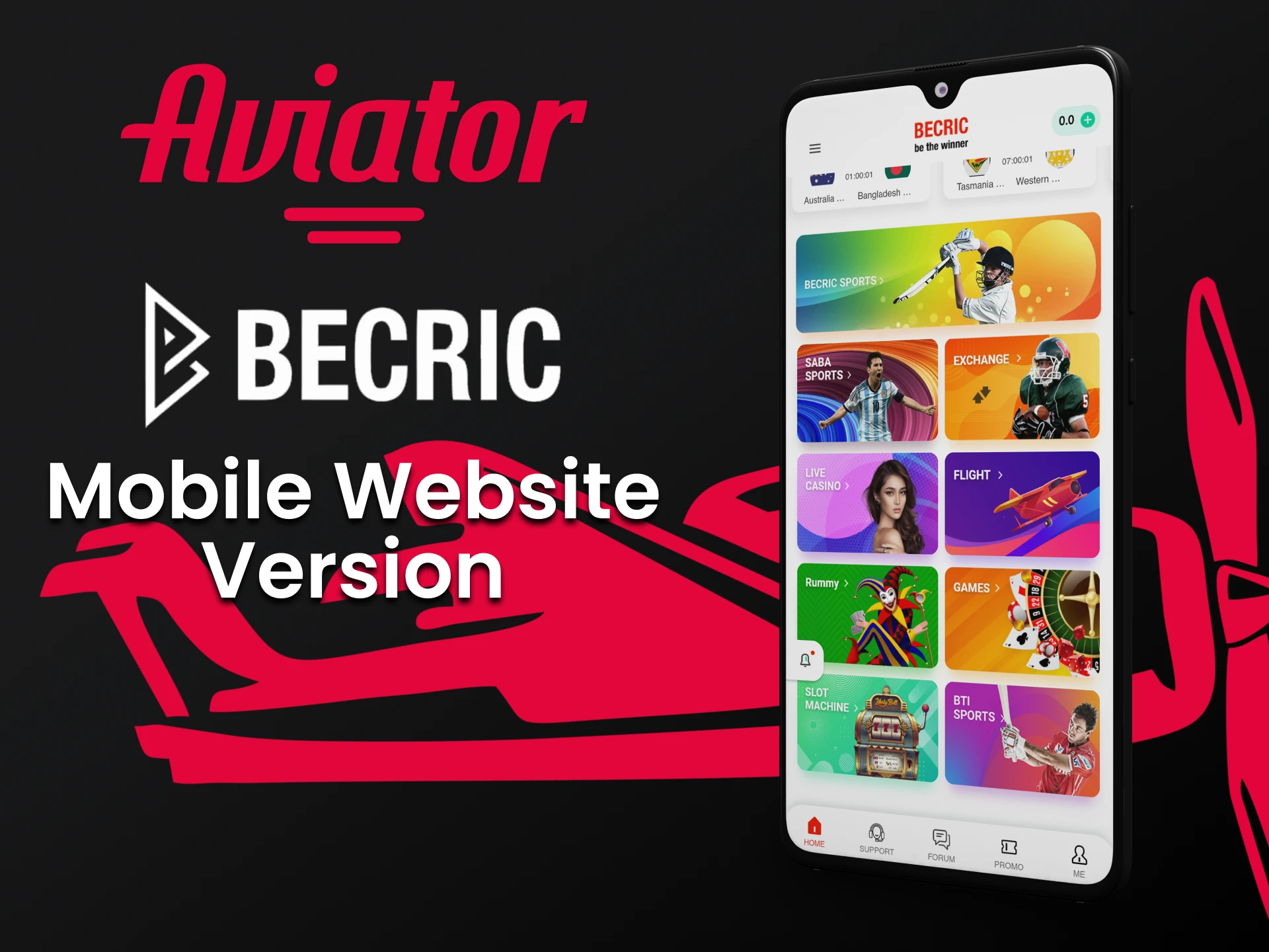 Play Aviator on the Becric platform from your phone.